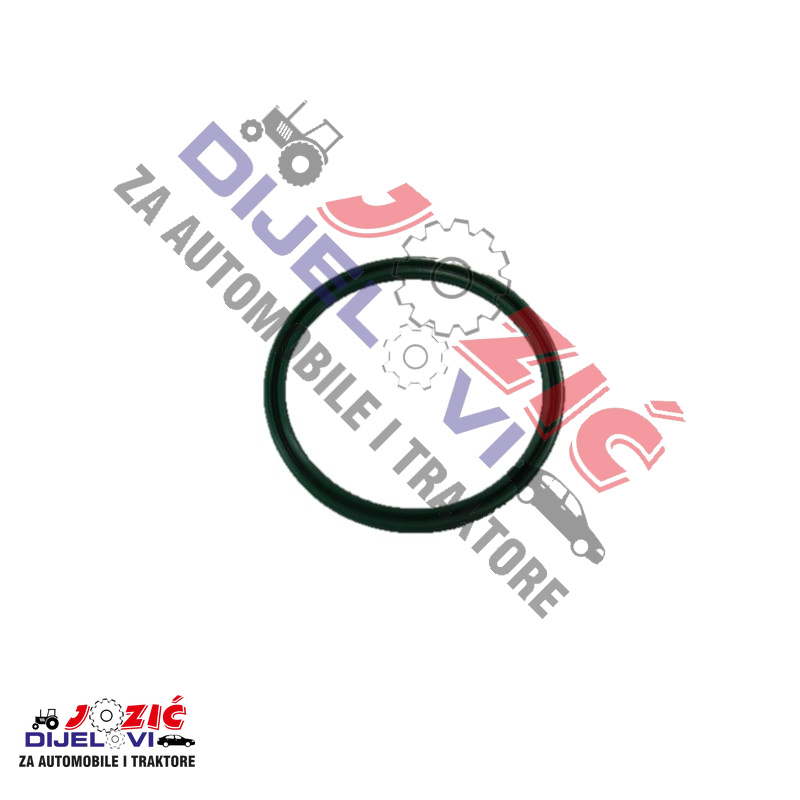 Daisy on the Ohoopee